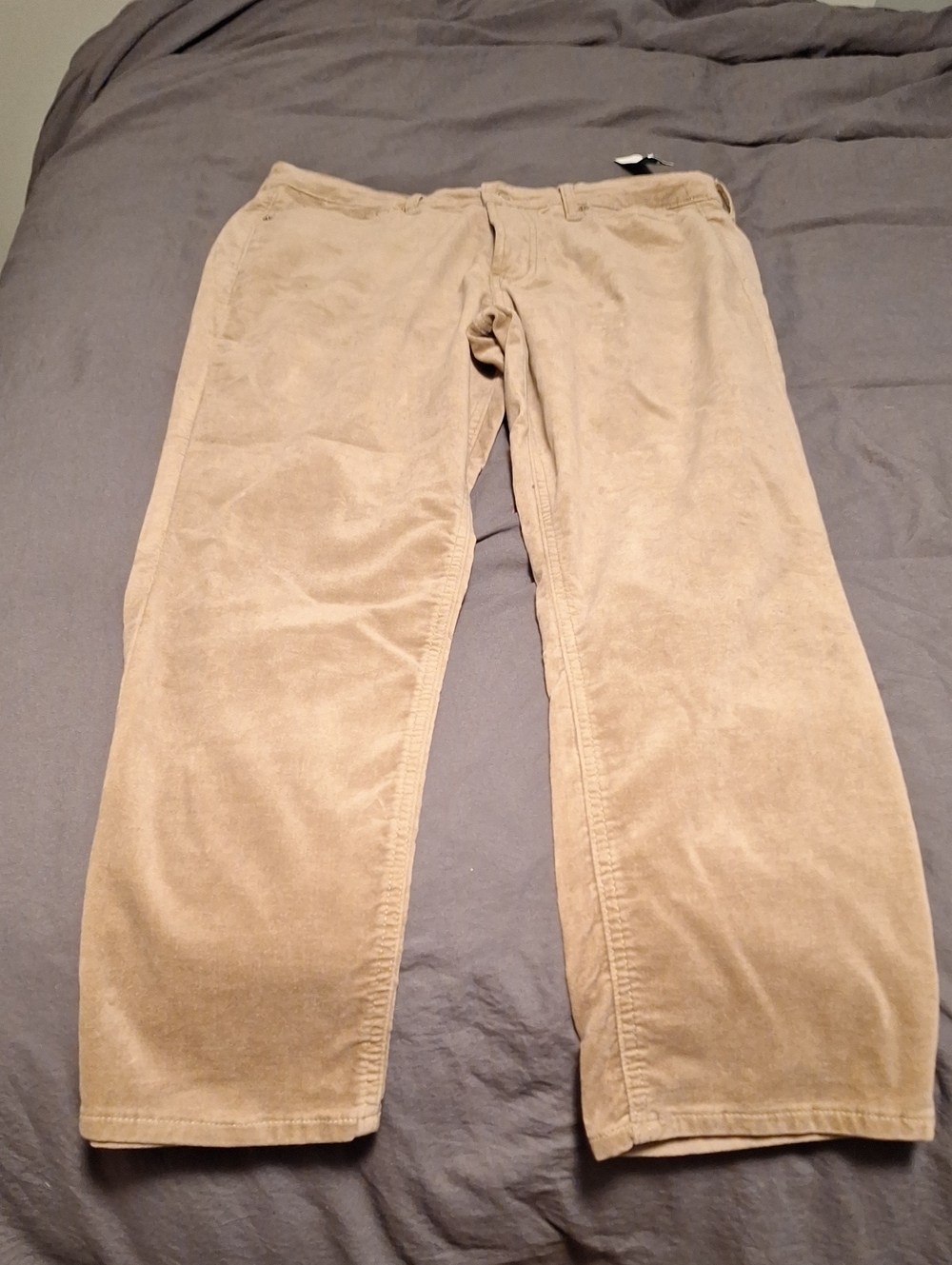 GAP Straight-Leg Velvety Pants in Light Beige